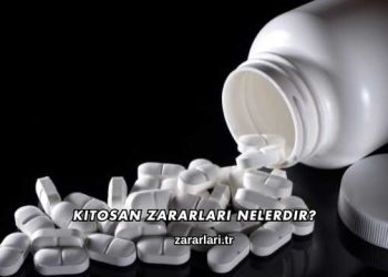 Kitosan Zararları Nelerdir?