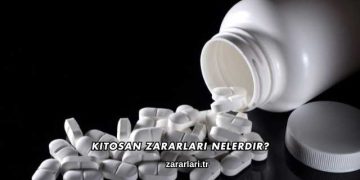Kitosan Zararları Nelerdir?