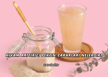 Kıvam Arttırıcı Pektin Zararları Nelerdir?