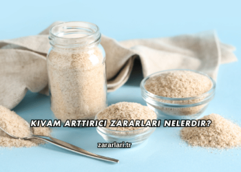 Kıvam Arttırıcı Zararları Nelerdir?