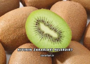 Kivinin Zararları Nelerdir?