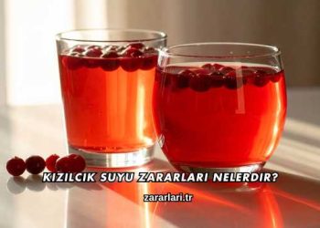 Kızılcık Suyu Zararları Nelerdir?