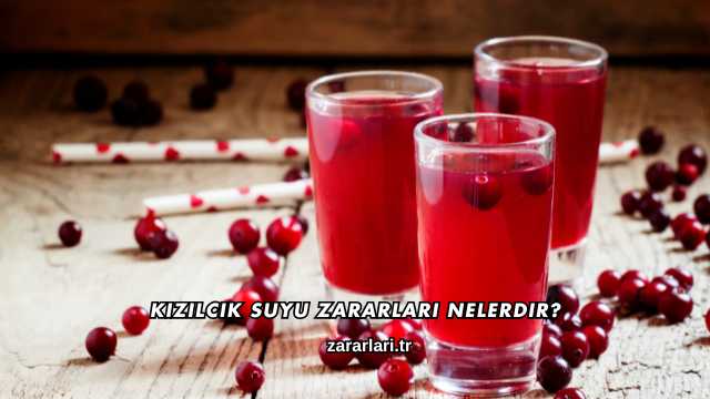 Kızılcık Suyu Zararları Nelerdir?