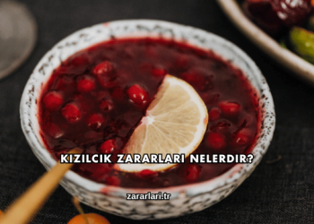 Kızılcık Zararları Nelerdir?
