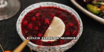 Kızılcık Zararları Nelerdir?