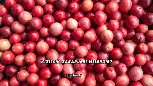 Kızılcık Zararları Nelerdir?