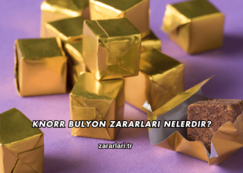 Knorr Bulyon Zararları Nelerdir?