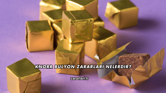 Knorr Bulyon Zararları Nelerdir?