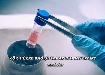 Kök Hücre Bağışı Zararları Nelerdir?