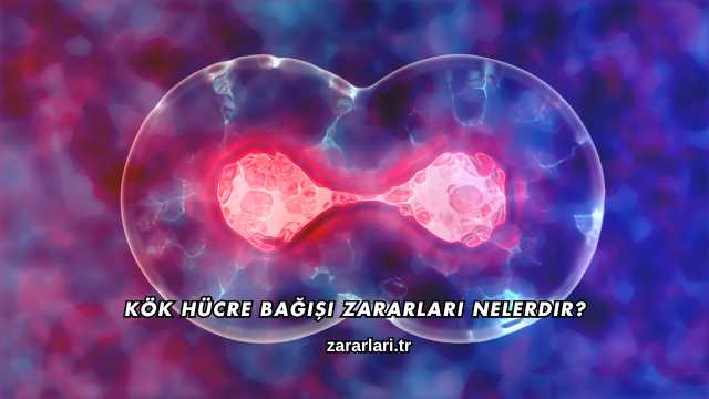 Kök Hücre Bağışı Zararları Nelerdir?