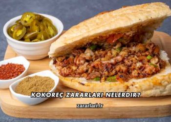 Kokoreç Zararları Nelerdir?