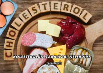 Kolesterolün Zararları Nelerdir?