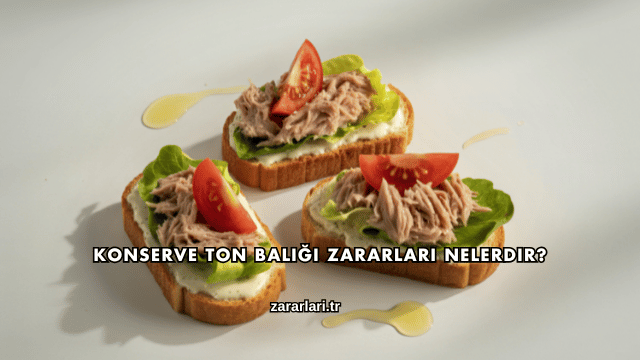Konserve Ton Balığı Zararları Nelerdir?