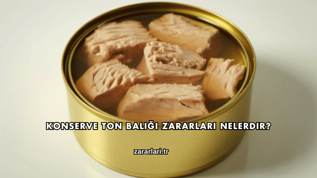 Konserve Ton Balığı Zararları Nelerdir?