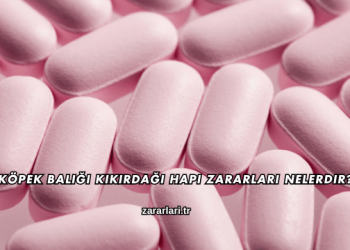 Köpek Balığı Kıkırdağı Hapı Zararları Nelerdir?