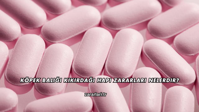 Köpek Balığı Kıkırdağı Hapı Zararları Nelerdir?