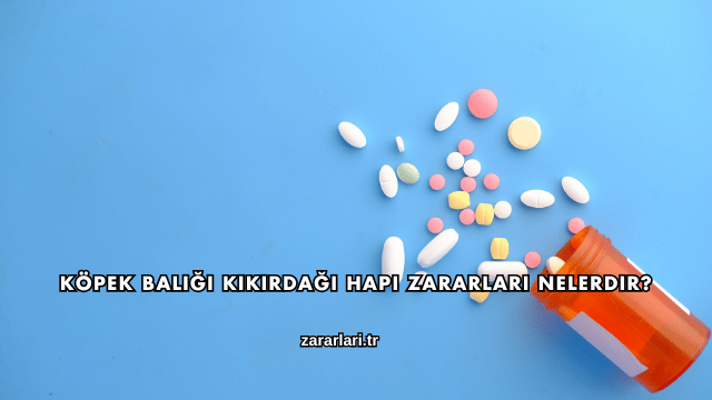 Köpek Balığı Kıkırdağı Hapı Zararları Nelerdir?