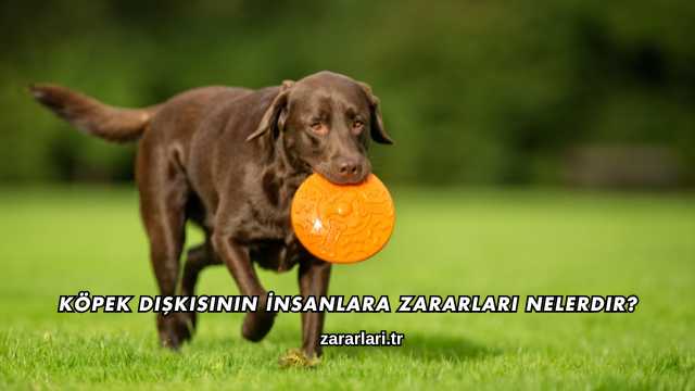 Köpek Dışkısının İnsanlara Zararları Nelerdir?