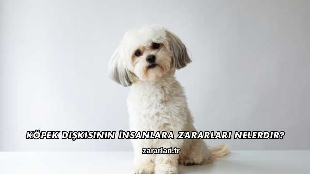 Köpek Dışkısının İnsanlara Zararları Nelerdir?