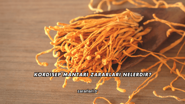 Kordisep Mantarı Zararları Nelerdir?