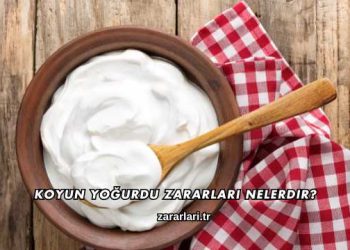 Koyun Yoğurdu Zararları Nelerdir?