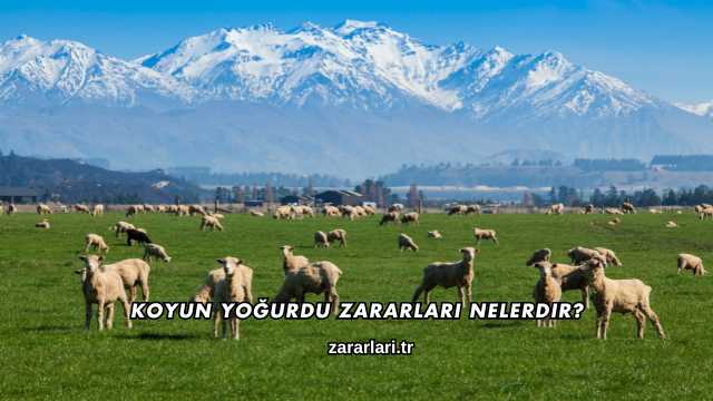 Koyun Yoğurdu Zararları Nelerdir?