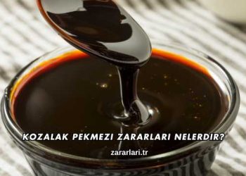 Kozalak Pekmezi Zararları Nelerdir?