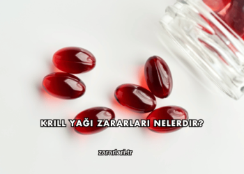 Krill Yağı Zararları Nelerdir?