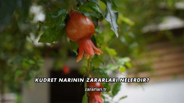 Kudret Narının Zararları Nelerdir?
