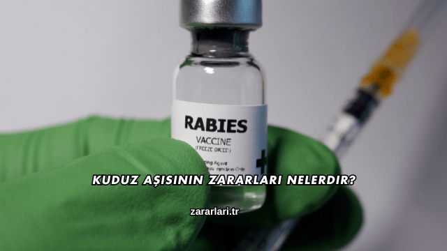 Kuduz Aşısının Zararları Nelerdir?