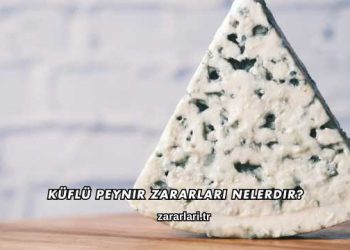 Küflü Peynir Zararları Nelerdir?