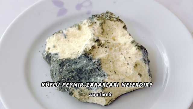 Küflü Peynir Zararları Nelerdir?