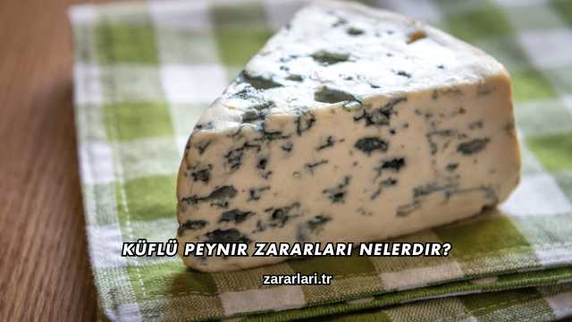 Küflü Peynir Zararları Nelerdir?