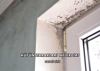 Küfün Zararları Nelerdir?