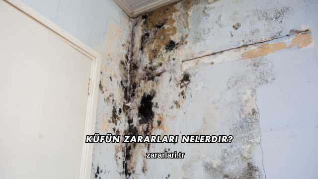 Küfün Zararları Nelerdir?