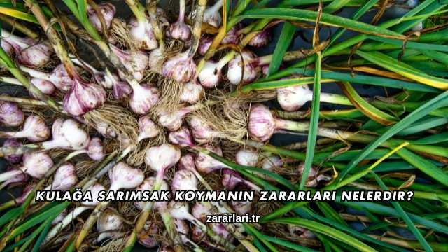 Kulağa Sarımsak Koymanın Zararları Nelerdir?