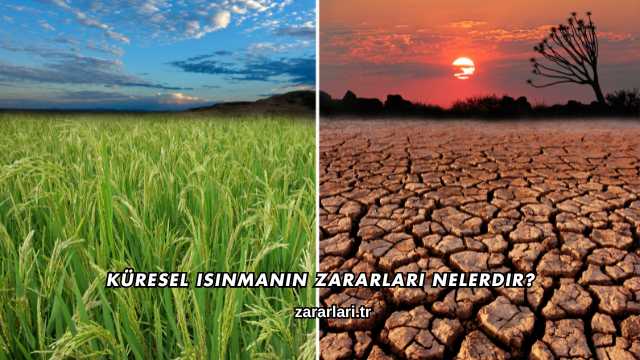 Küresel Isınmanın Zararları Nelerdir?