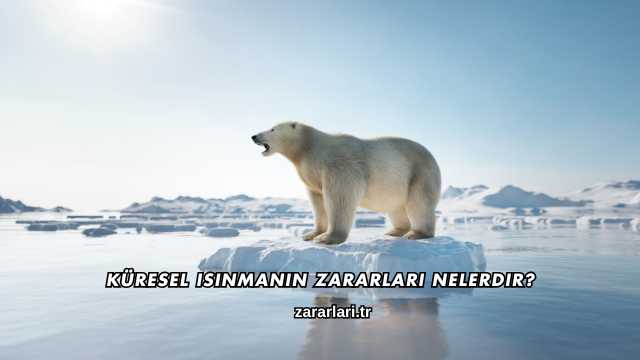 Küresel Isınmanın Zararları Nelerdir?