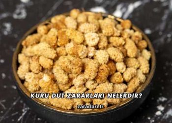 Kuru Dut Zararları Nelerdir?