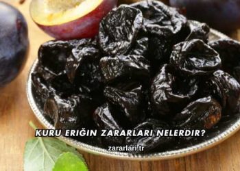 Kuru Eriğin Zararları Nelerdir?