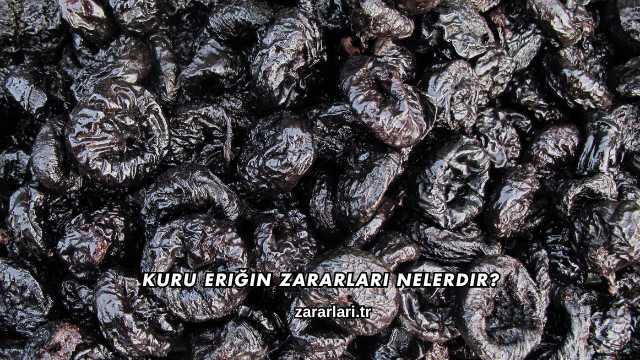 Kuru Eriğin Zararları Nelerdir?