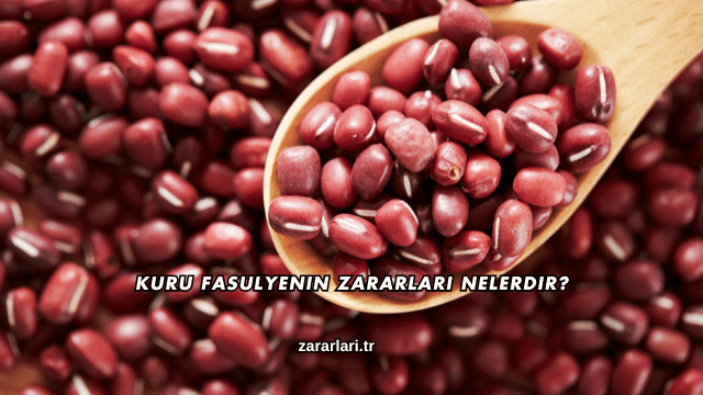 Kuru Fasulyenin Zararları Nelerdir?