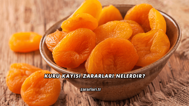 Kuru Kayısı Zararları Nelerdir?