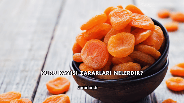 Kuru Kayısı Zararları Nelerdir?