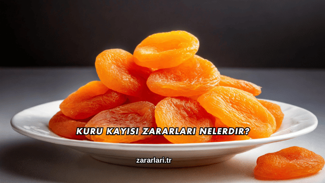 Kuru Kayısı Zararları Nelerdir?