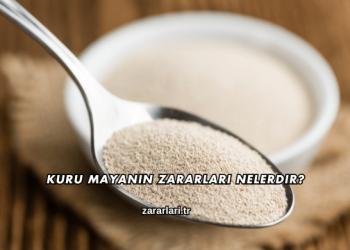 Kuru Mayanın Zararları Nelerdir?