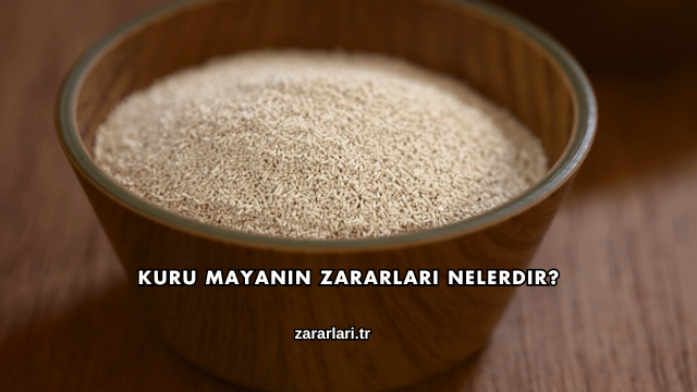 Kuru Mayanın Zararları Nelerdir?