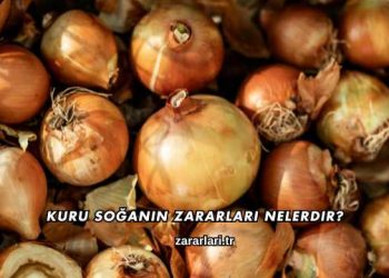 Kuru Soğanın Zararları Nelerdir?