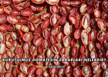 Kurutulmuş Domatesin Zararları Nelerdir?