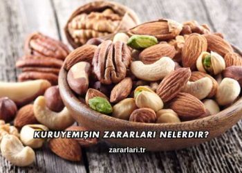 Kuruyemişin Zararları Nelerdir?